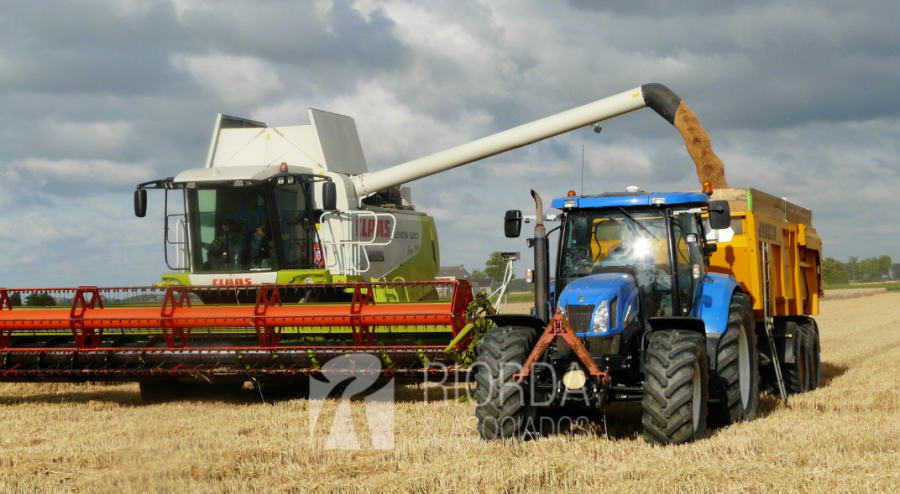 PROYECTO LEY DEL PLAN NACIONAL DE FOMENTO DE LAS INVERSIONES Y EXPORTACIONES AGROINDUSTRIALES Y ALIMENTARIAS